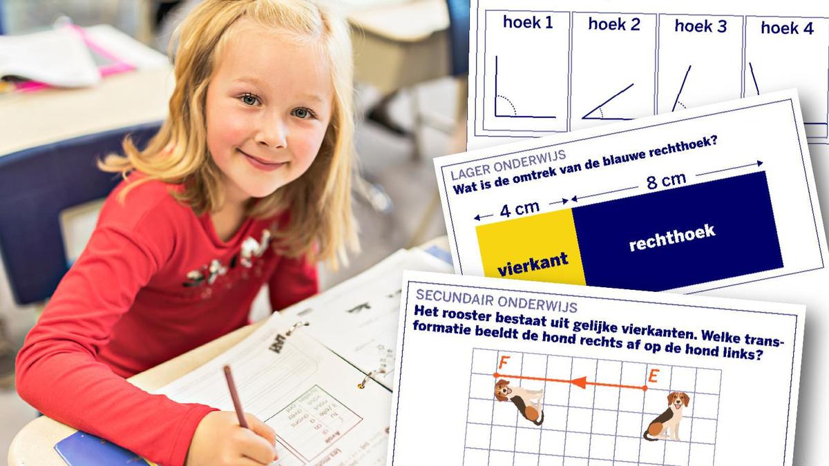 Wiskunde-stress in Vlaanderen: Durf jij de uitdaging aan van de Vlaamse toetsen?