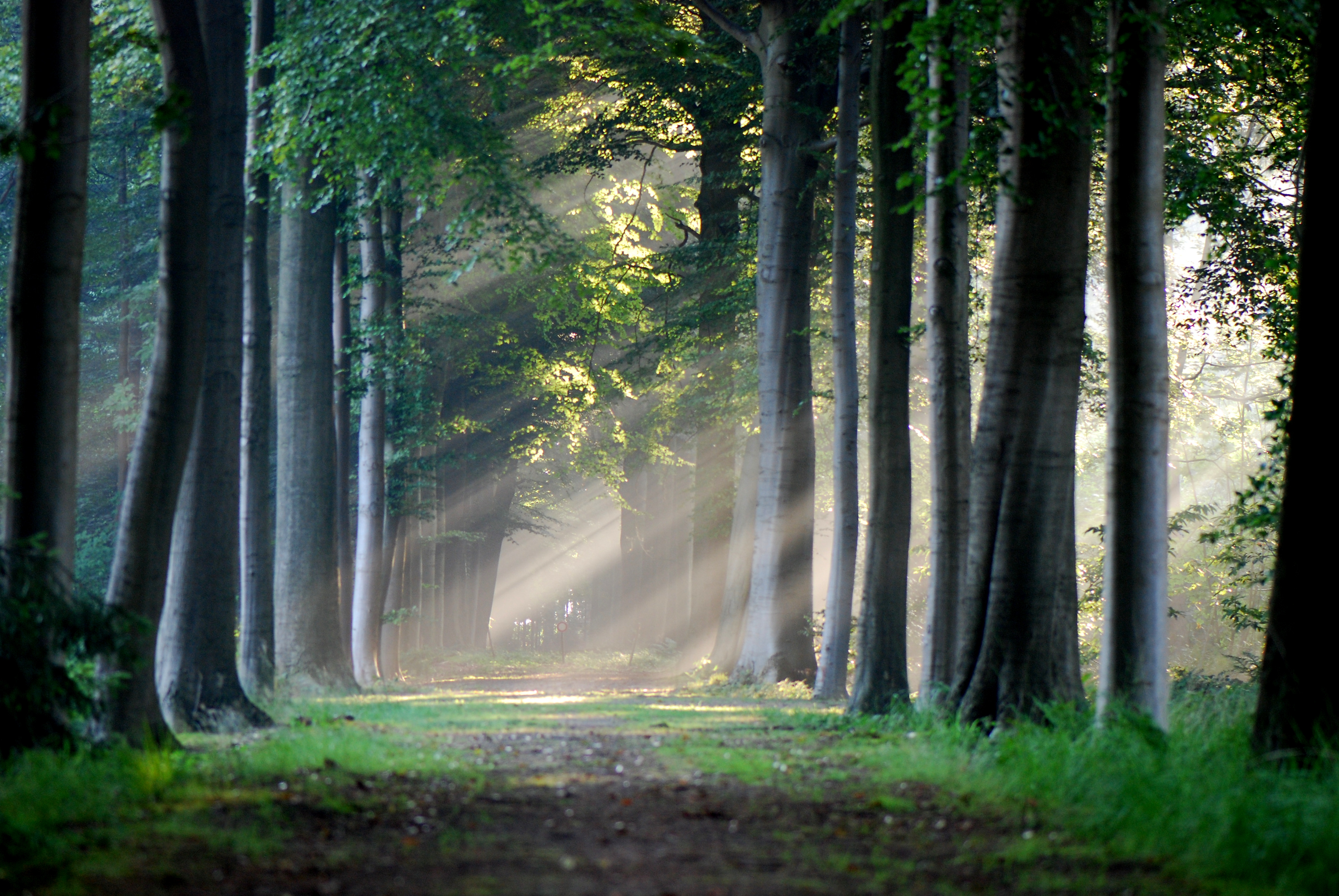 Eerste natuurwandeling in natuurgebied Doeveren
