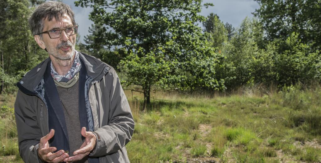 2.500 jaar geleden al akkers aangelegd op Bosbergen