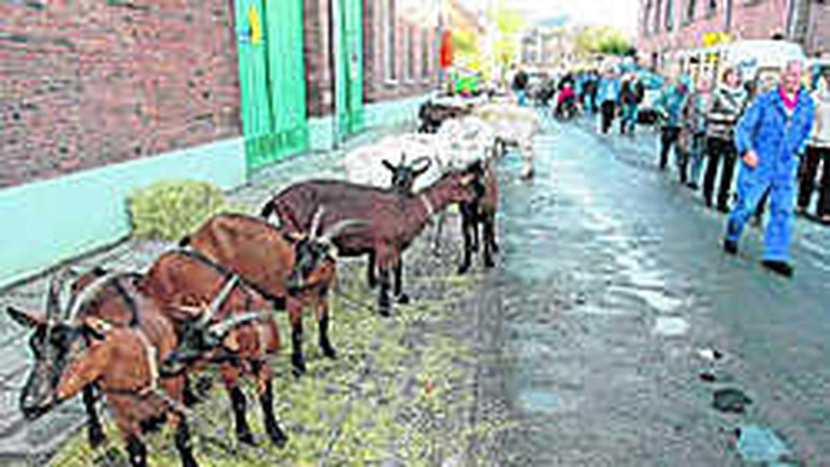 parcours Uitleg over parcours Woordenboek Standaard Nederlands