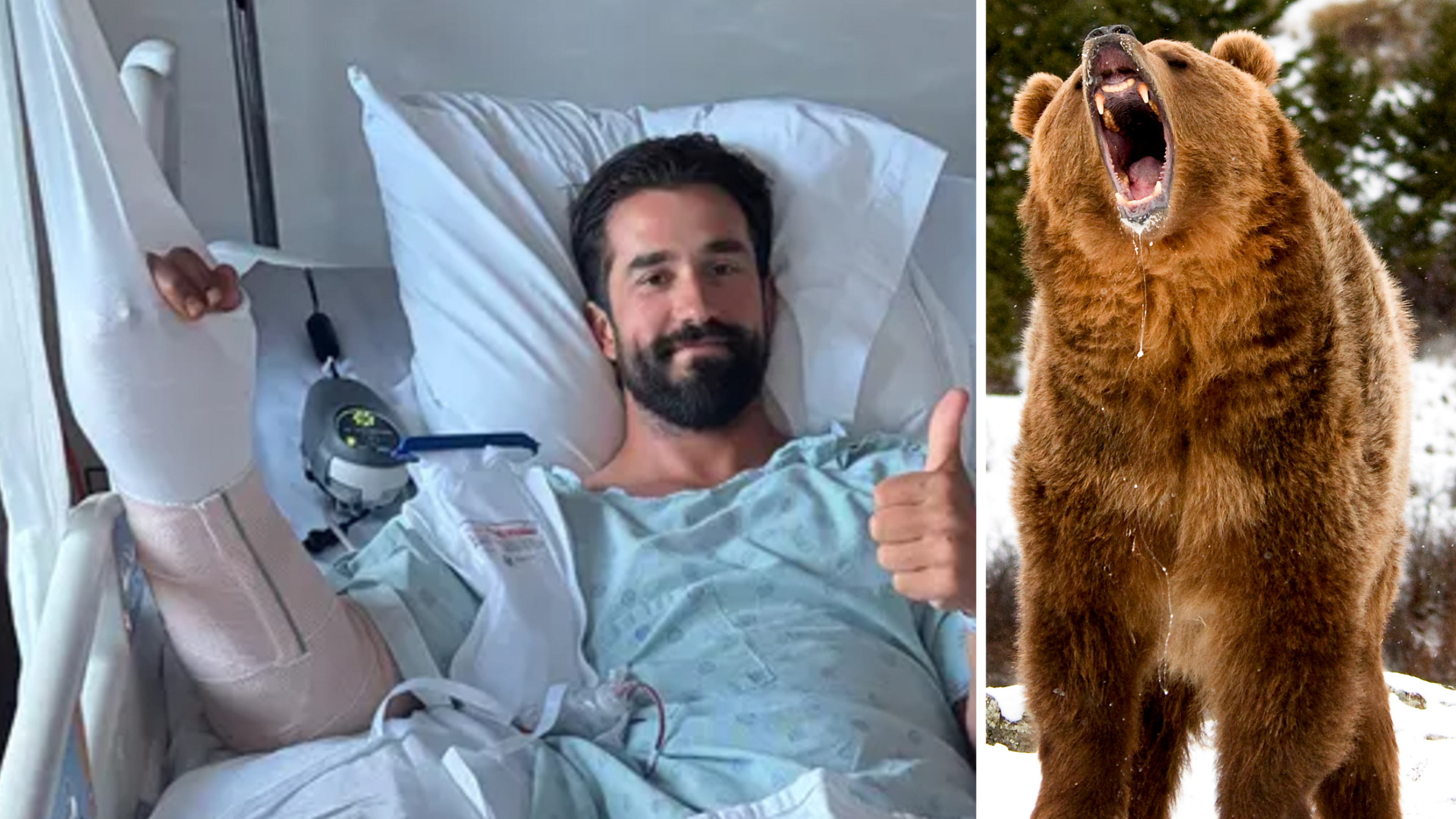 Wandelaar overleeft aanval door grizzlybeer en herstelt na d