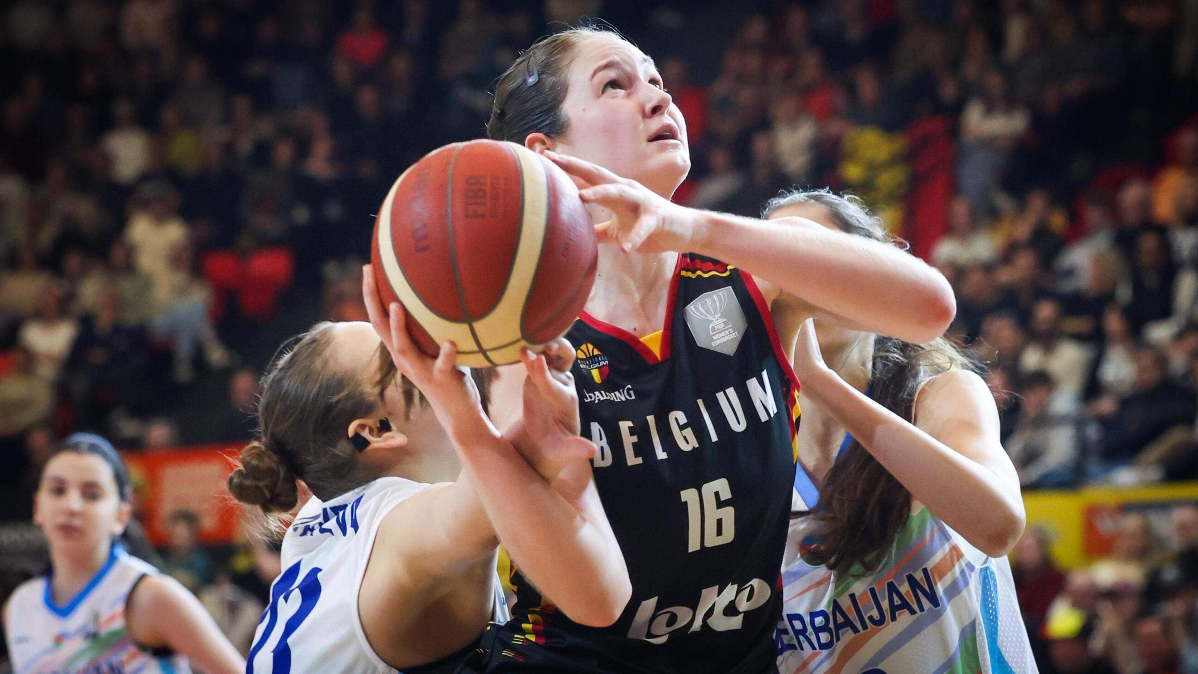 Twee op twee: BE Gold Belgian Cats bevestigen tegen Next Gen
