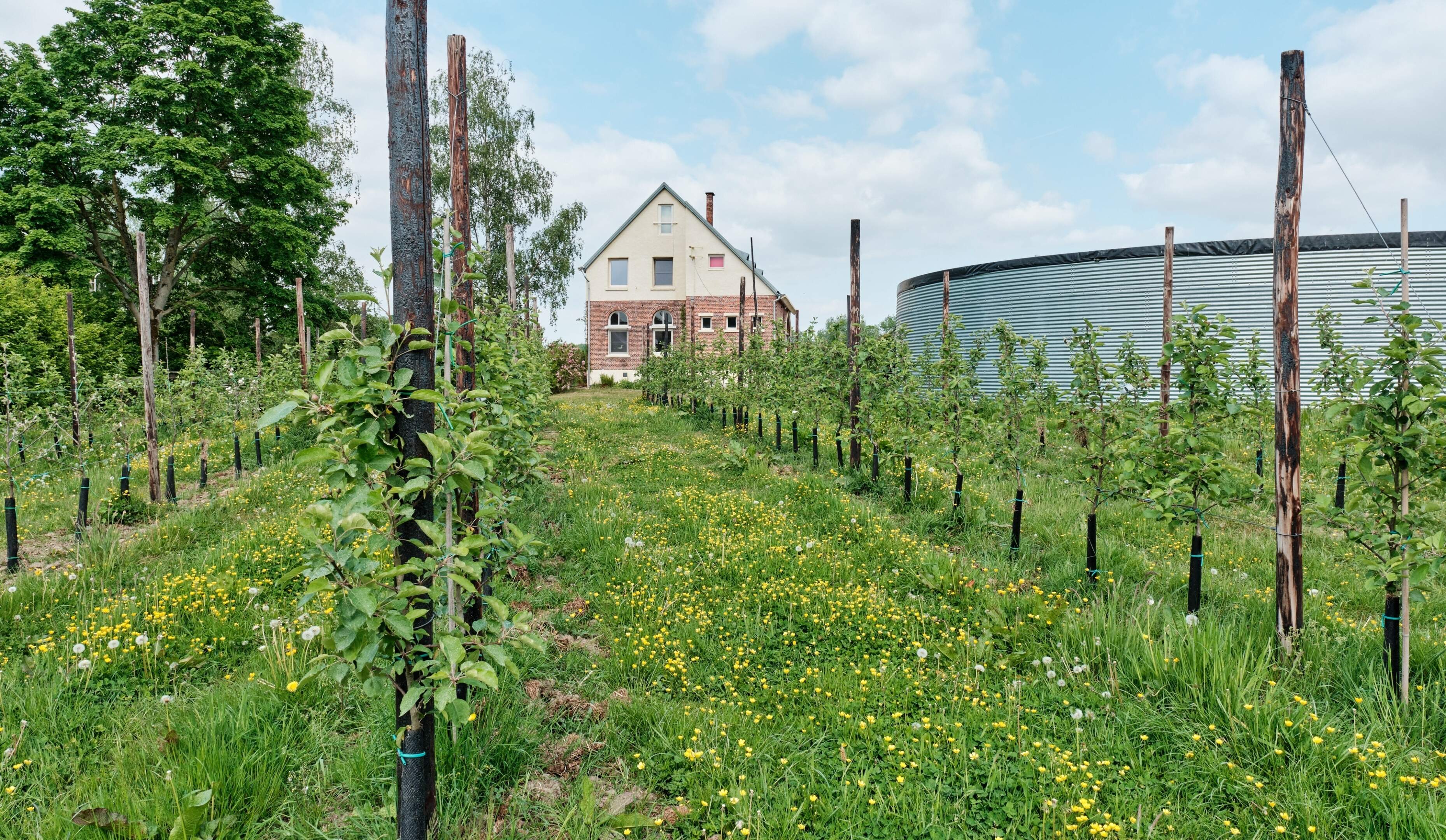 Meer dan 11 miljoen euro voor boeren die biodiversiteit versterken