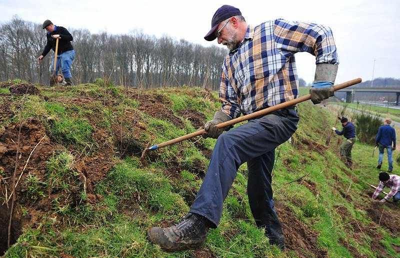 2.600 bomen en struiken in Doeveren