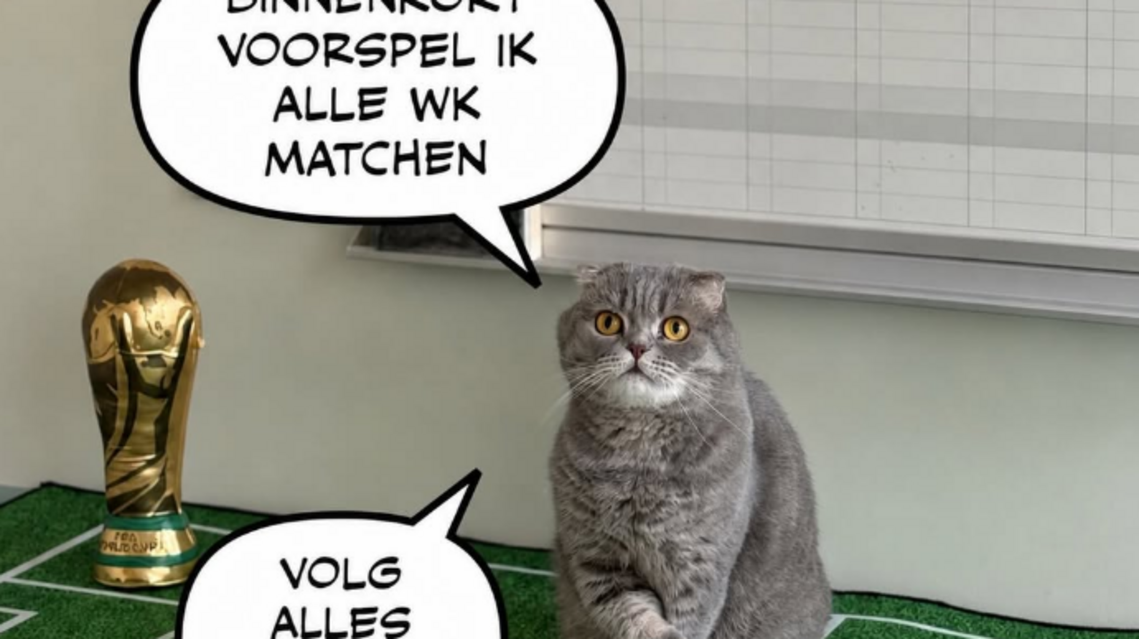 Ook kat Maximus van premier De Wever gaat uitslagen van WK-w