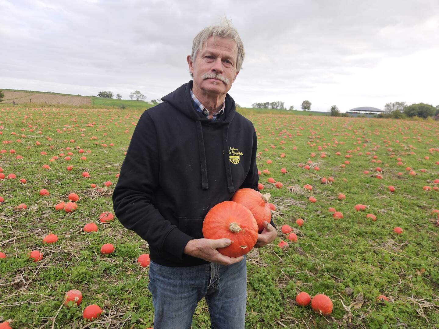 Bioboer%20Guy%20Depraetere%20heeft%2020.000%20kilo%20pompoenen%20op%20overschot%20De%20mensen%20kunnen%20in%20de%20weekends%20in%20oktober%20van%2010%20tot%2013%20uur%20een%20zak%20van%2025%20kilo%20vullen%20aan%205%20euro%20per%20zak.%20Zolang%20de%20voorraad%20strekt.