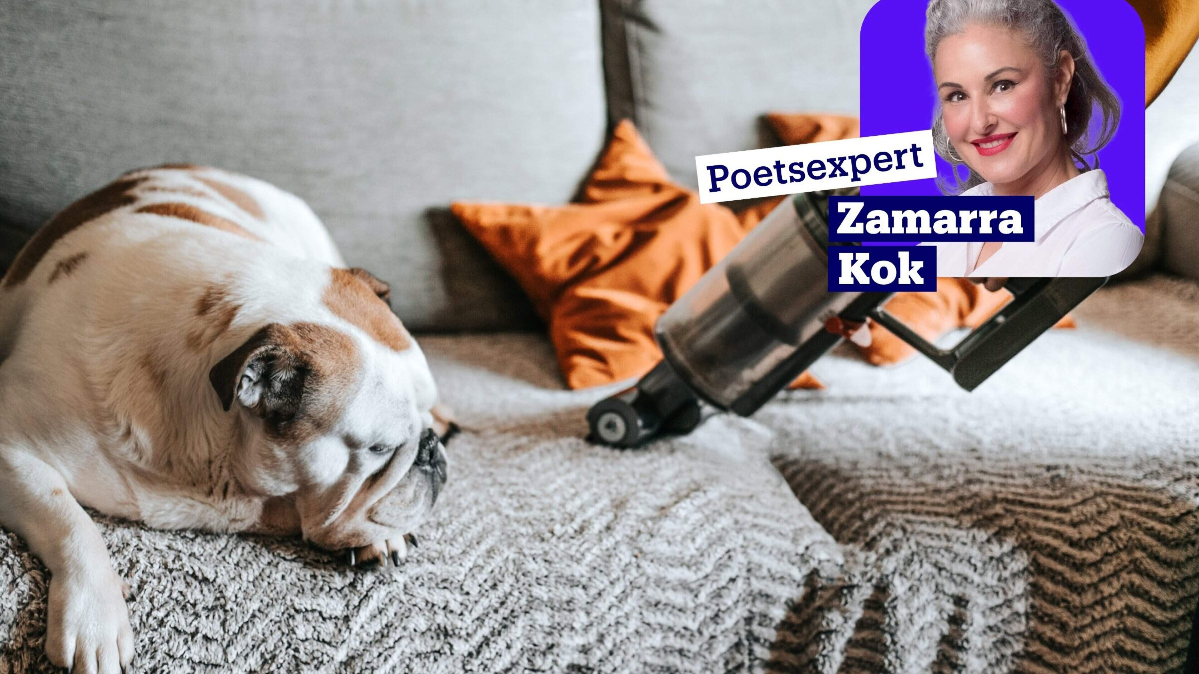 Vijf slimme manieren om nare luchtjes te bestrijden zonder c