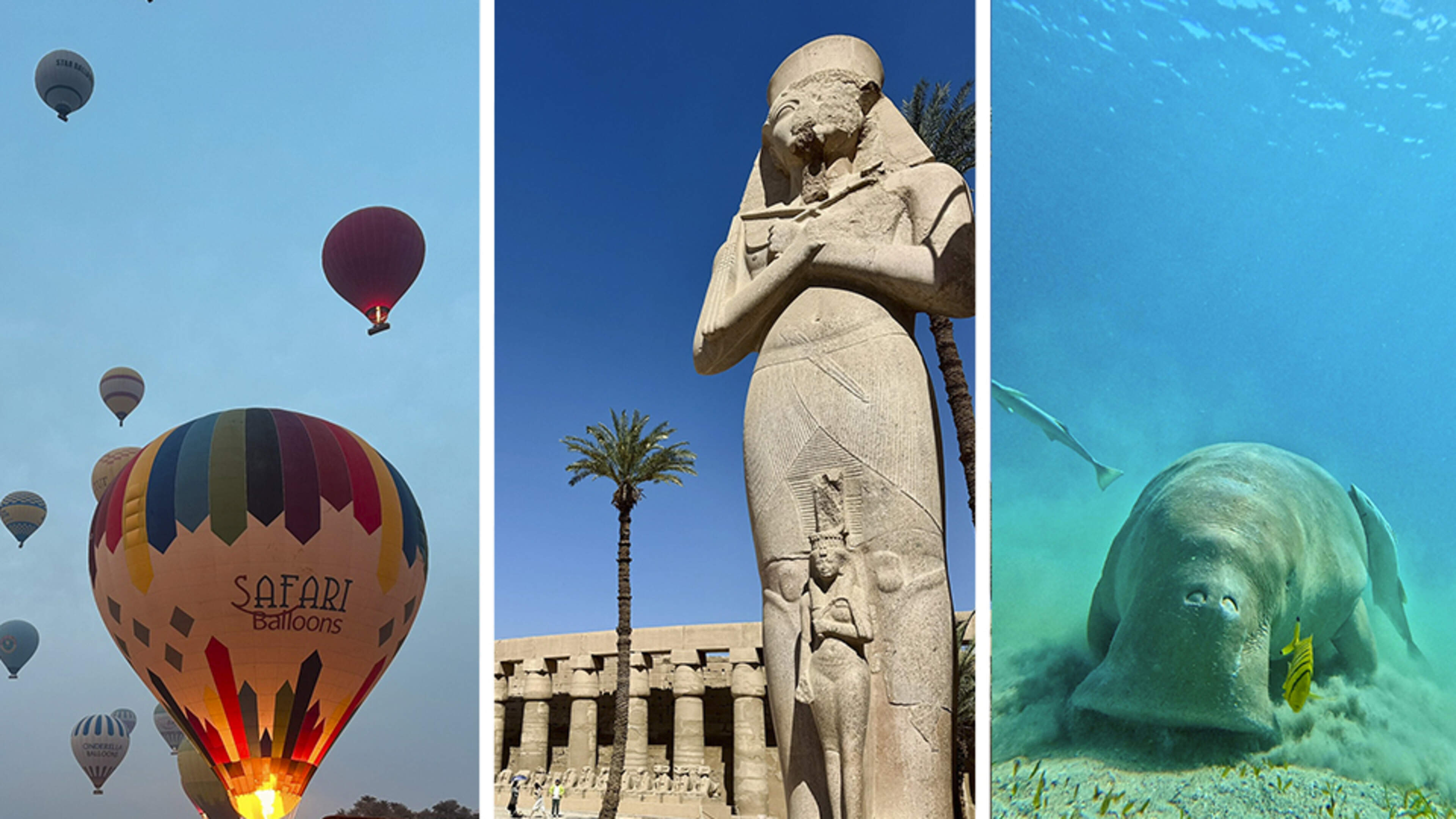 Onze vrouw ging vijf dagen naar Egypte en zag geen piramide. Wel farao’s, ballonnen ... en zeekoeien