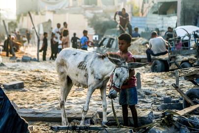 TOPSHOT - A boy strokes the neck of a donkey as they stand amidst rubble following overnight Israeli bombardment on the Japanese neighbourhood in the northwest of Khan Yunis in the southern Gaza Strip on July 28, 2025. (Photo by AFP)