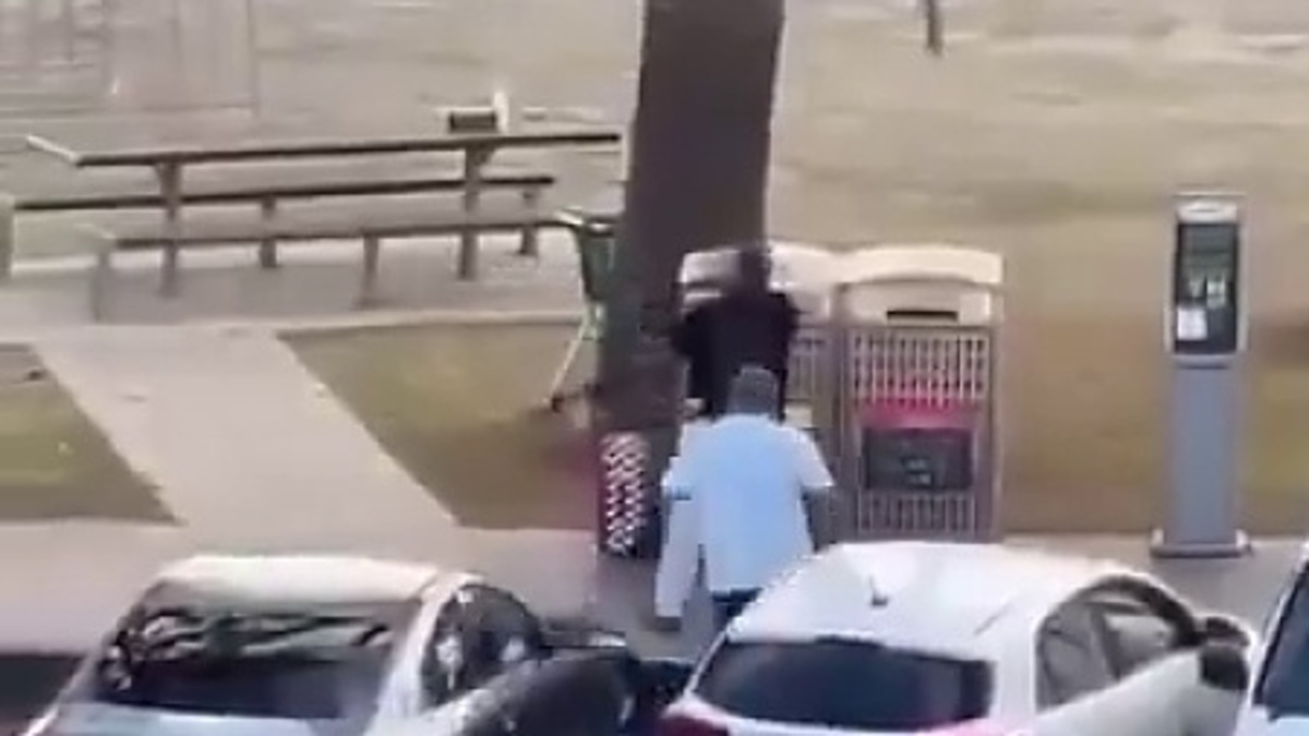 Le héros de Bondi Beach maîtrise un tireur et lui confisque son arme