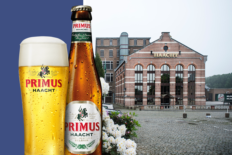 Niet de primus van de brouwers: Brouwerij Haacht moest in 2024 weer ...
