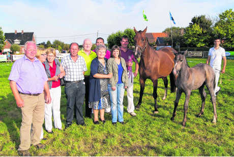 Riet Benoot wint veulen tijdens 50ste paardenprijskamp in Pittem