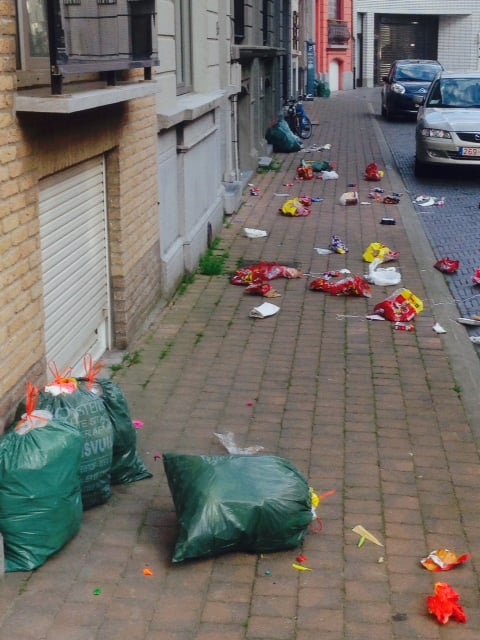 FOTO. Overlast meeuwen nog niet voorbij