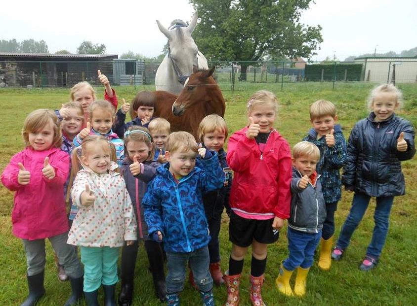 Kleuters adopteren veulen