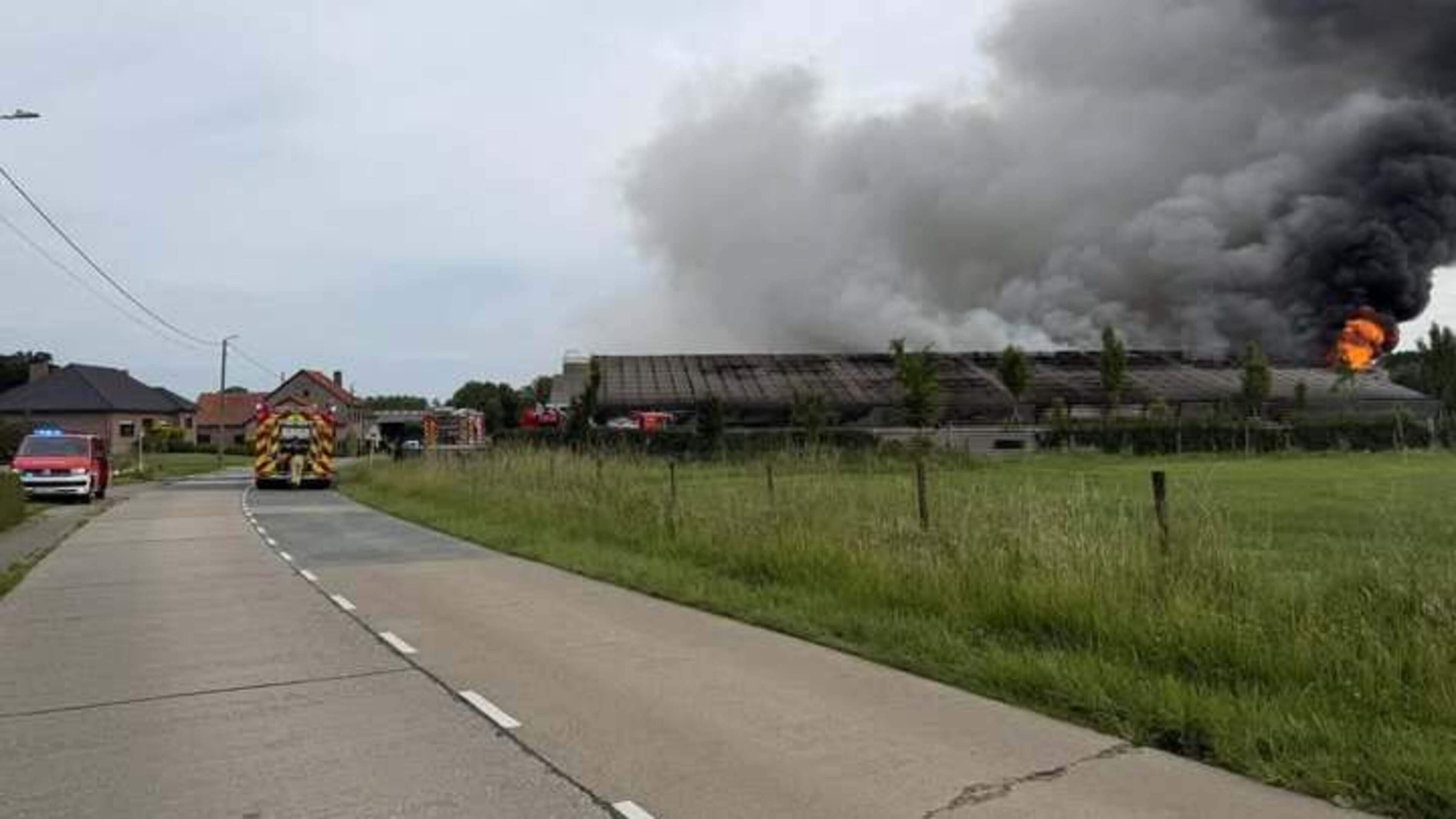 Zware stalbrand in Glabbeek: 1.500 varkens gestorven