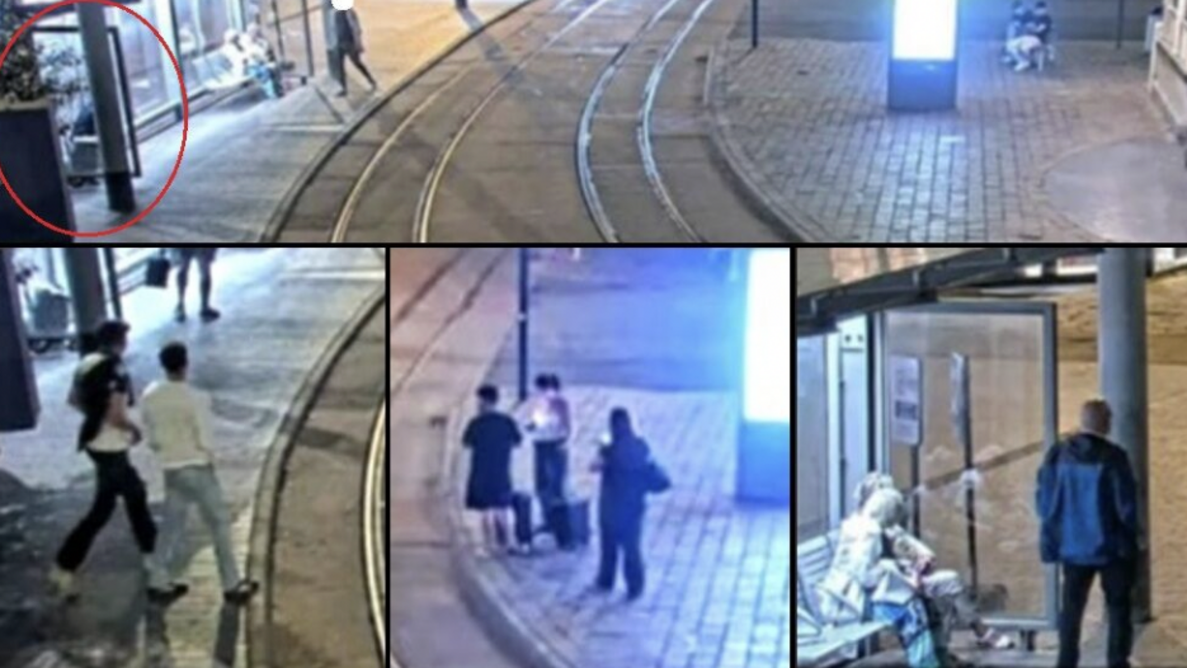 Verdachte aangehouden die man (35) aan tramhalte met mes neerstak in Oostende: politie zoekt nog belangrijke getuigen