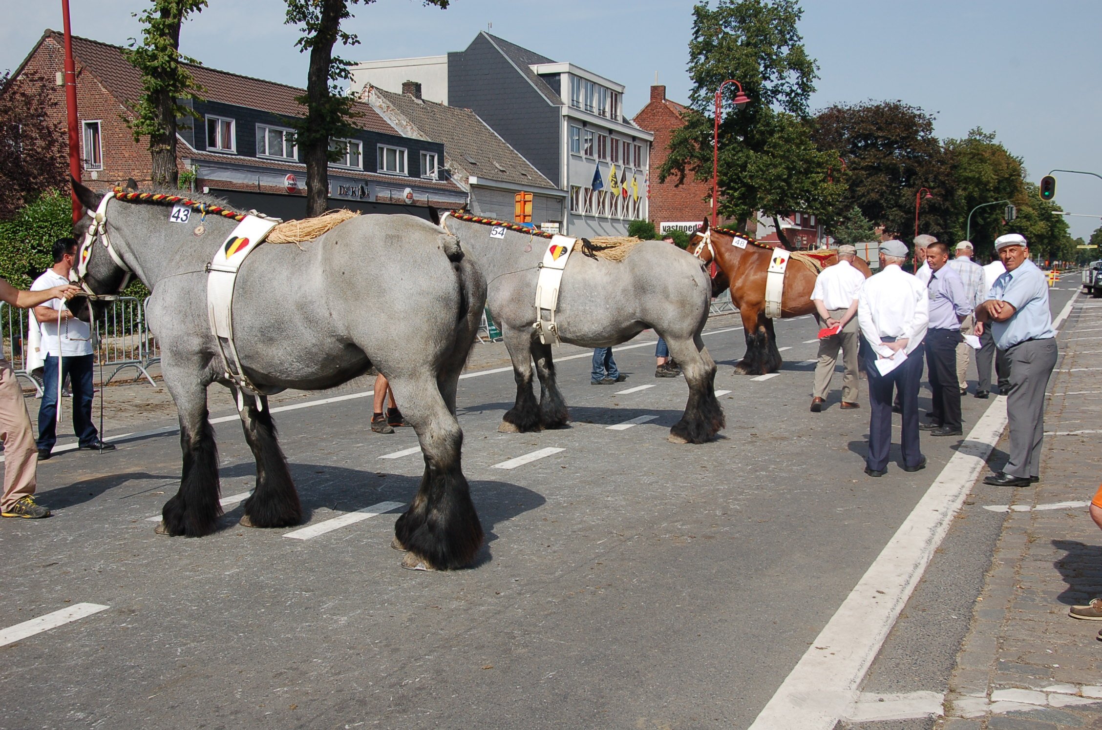 FOTO: Publiek blijft weg van interprovinciale trekpaarden prijskamp