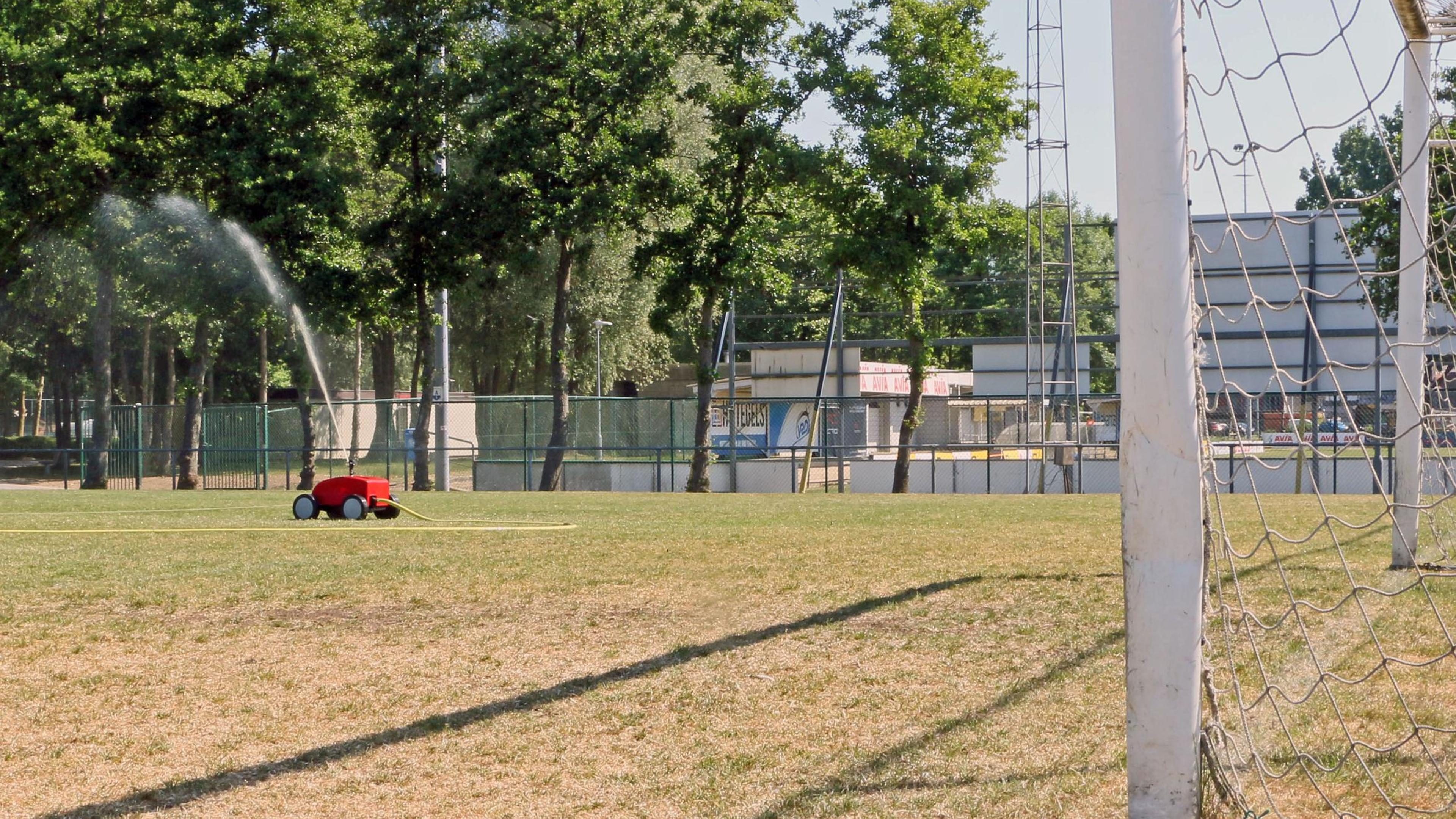 Ook in Temse worstelt men met het onderhoud van de velden: “Overschakelen op kraantjeswater is echt