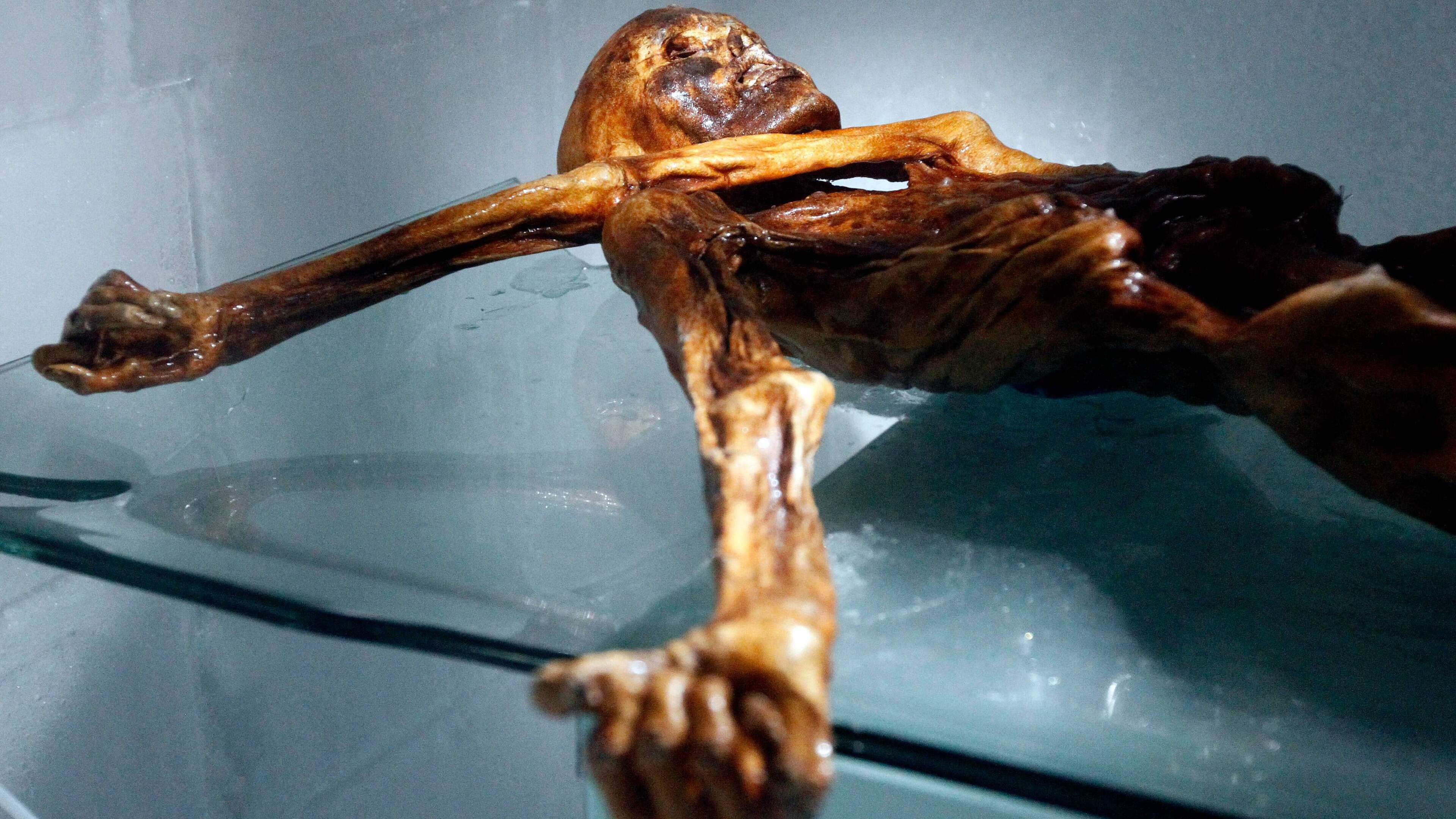 Wetenschappers maken brood met gist uit ingewanden van ijsmummie Ötzi