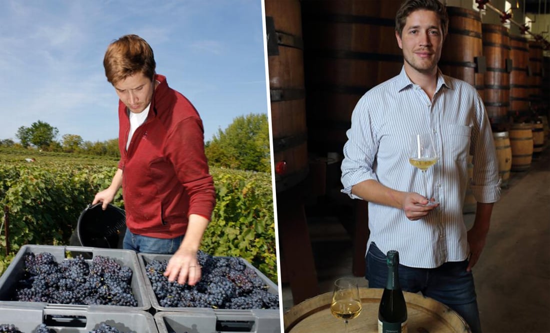In 2018 oogstte Maxime zijn eerste druiven, nu is de Belg verkozen tot beste wijnbouwer in Frankrijk