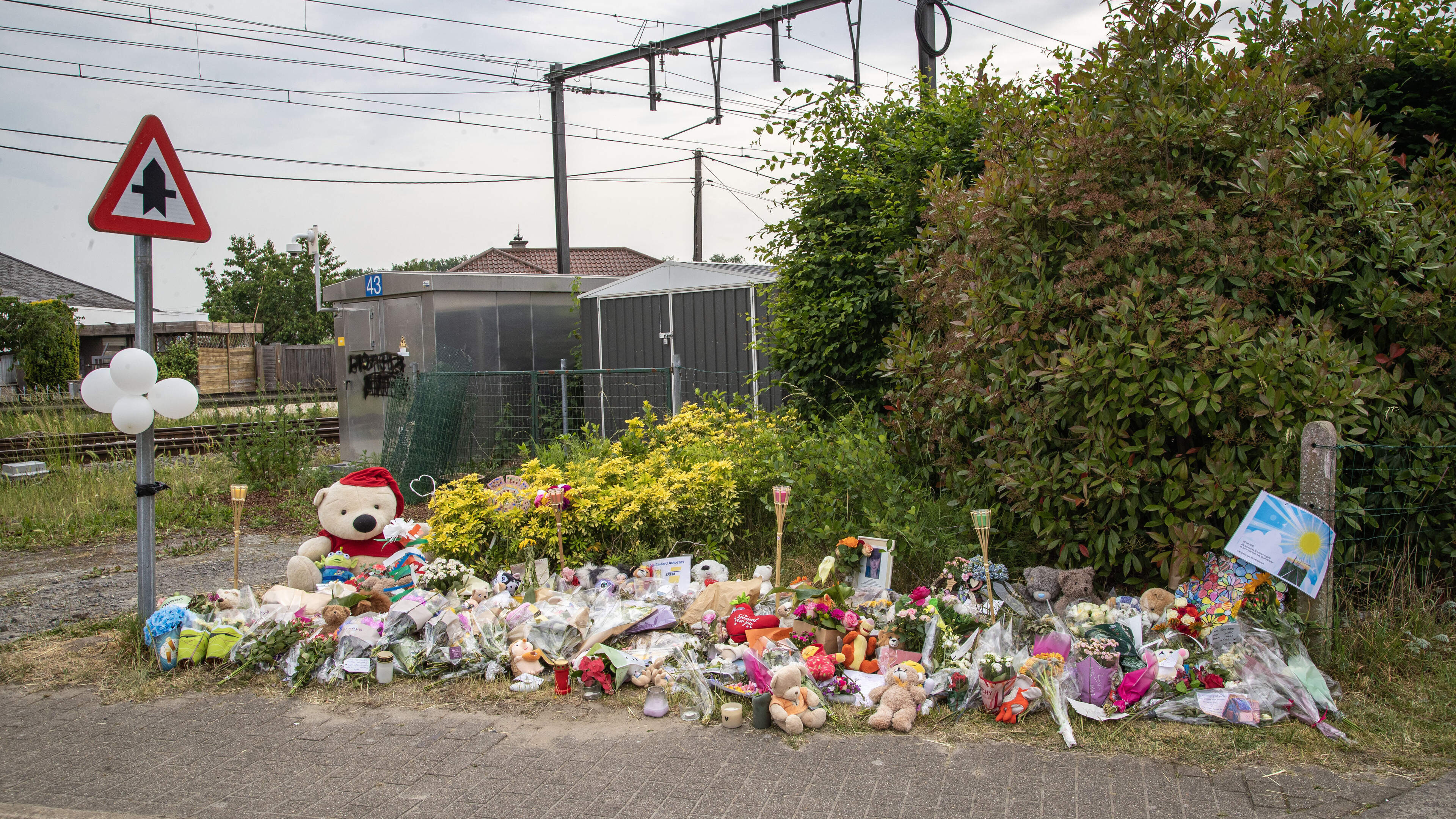 LIVE ONGEVAL BUGGENHOUT. CEO van De Lijn: “Nooit klachten ontvangen over rijgedrag van chauffeur”