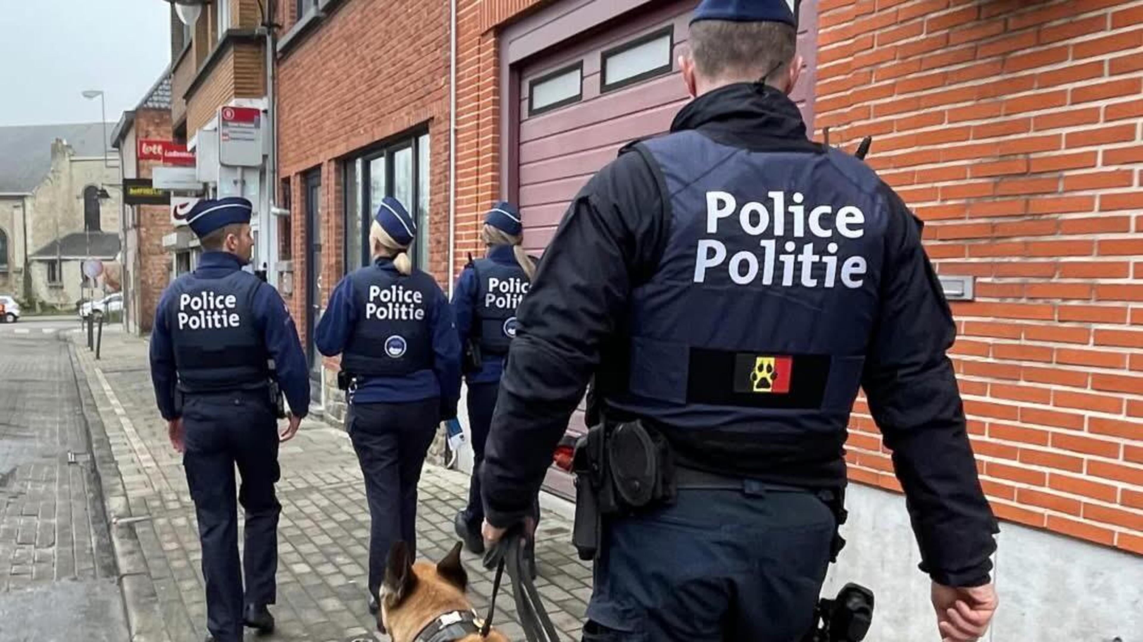 19 verdachten opgepakt en 11 cannabisplantages blootgelegd in onderzoek naar drugsbende: “Marktwaard