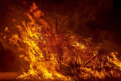 epa12258596 A view of the wildfire in Ourense, Galicia, Spain, 23 July 2025 (issued 24 July 2025). Authorities of Galicia have reported around 50 hectares affected as of 24 July 2025, with damages reaching Portugal.  EPA/Brais Lorenzo