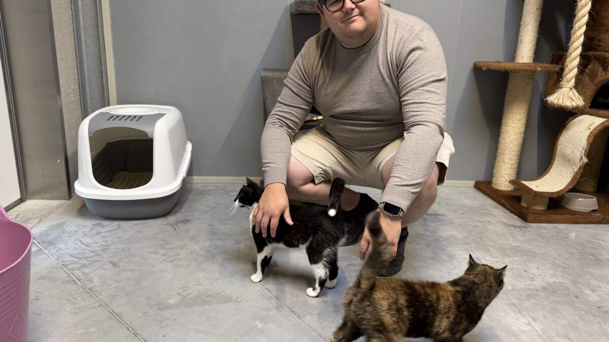 Dierenasiel Blauwe Kruis Oostende vreest faillissement zonder crowdfunding