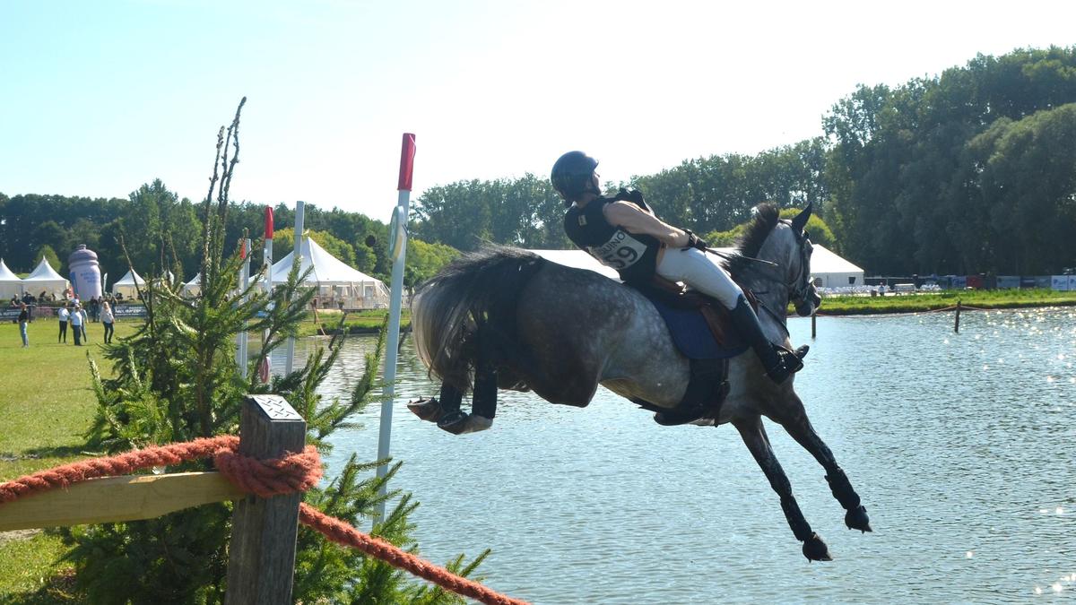 Paardenspektakel in kasteeldomein is publiekstrekker: "Genieten van sport, natuur en gezellige sfeer"