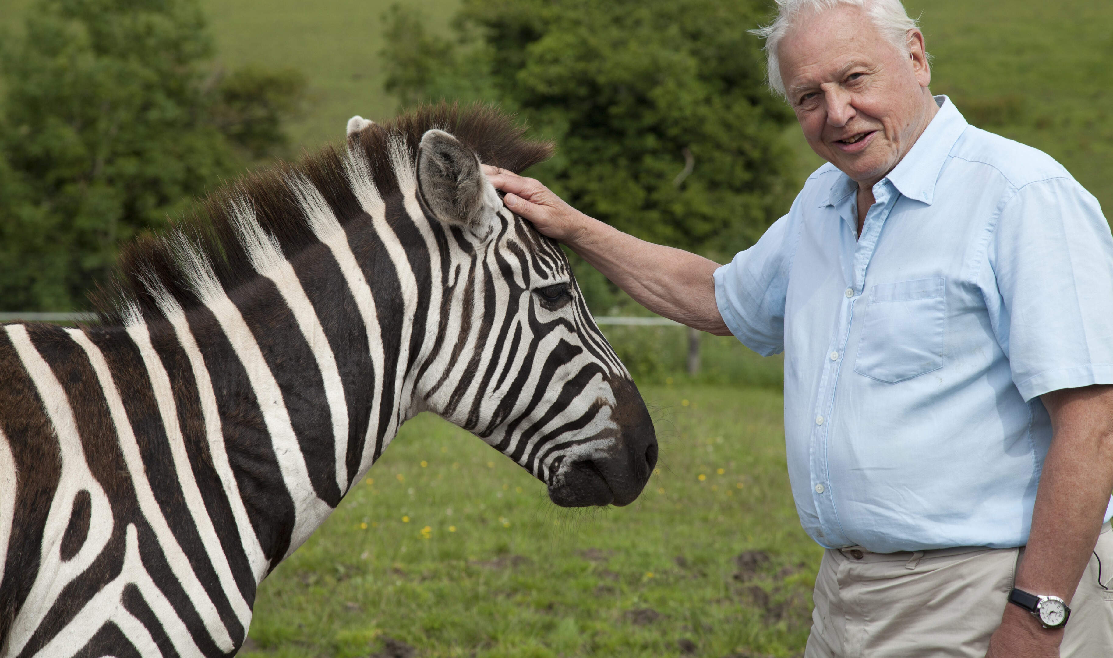 Doug Allan, pionier van natuurdocumentaires en rechterhand van Sir David Attenborough, sterft op 74-jarige leeftijd tijdens trektocht in Nepal
