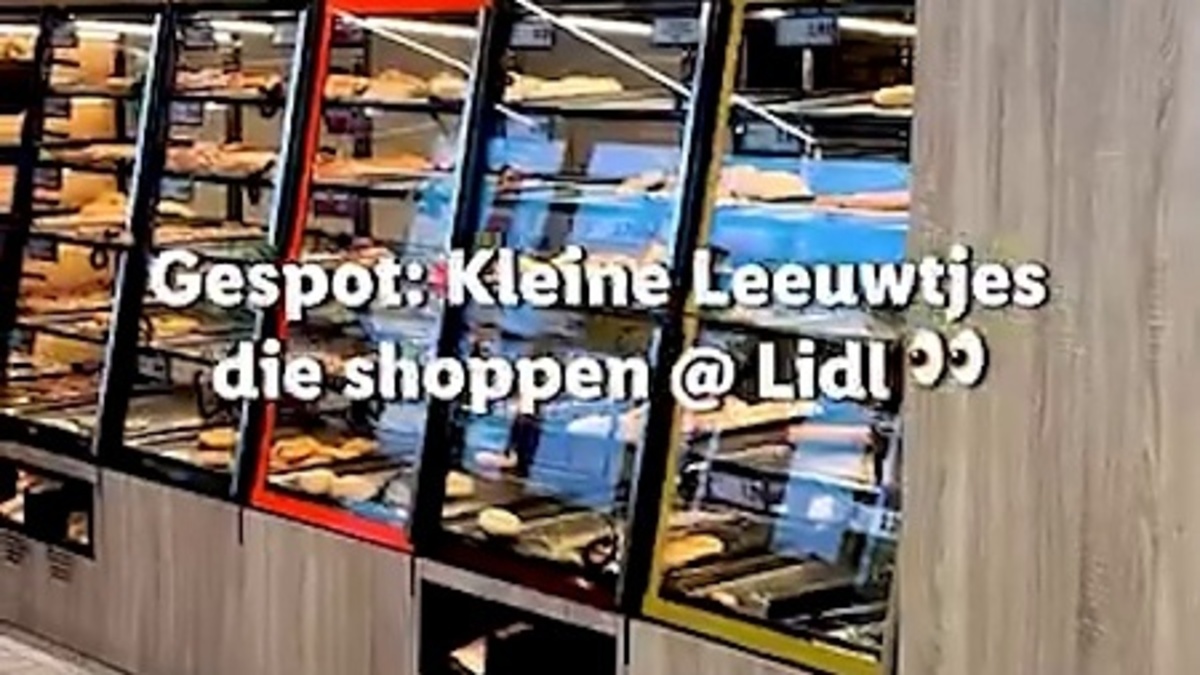 リドル、デレーズキャンペーンへの対抗策として面白いビデオ「リドルで小さなライオンを発見」を公開