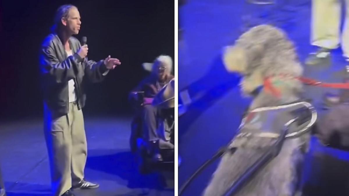 オランダのコメディアン、観客に補助犬がいるから出演拒否「限界がある」