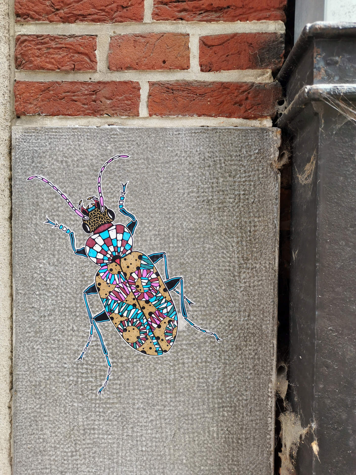 Hij liet al duizenden insecten achter in het straatbeeld, maar ...