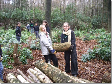 Beheerswerken in natuurgebied Doeveren met hulp van de Woudpekkers