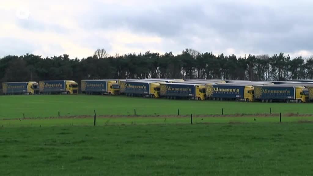 Driehonderd Hongaarse truckers verlaten Limburgse weide