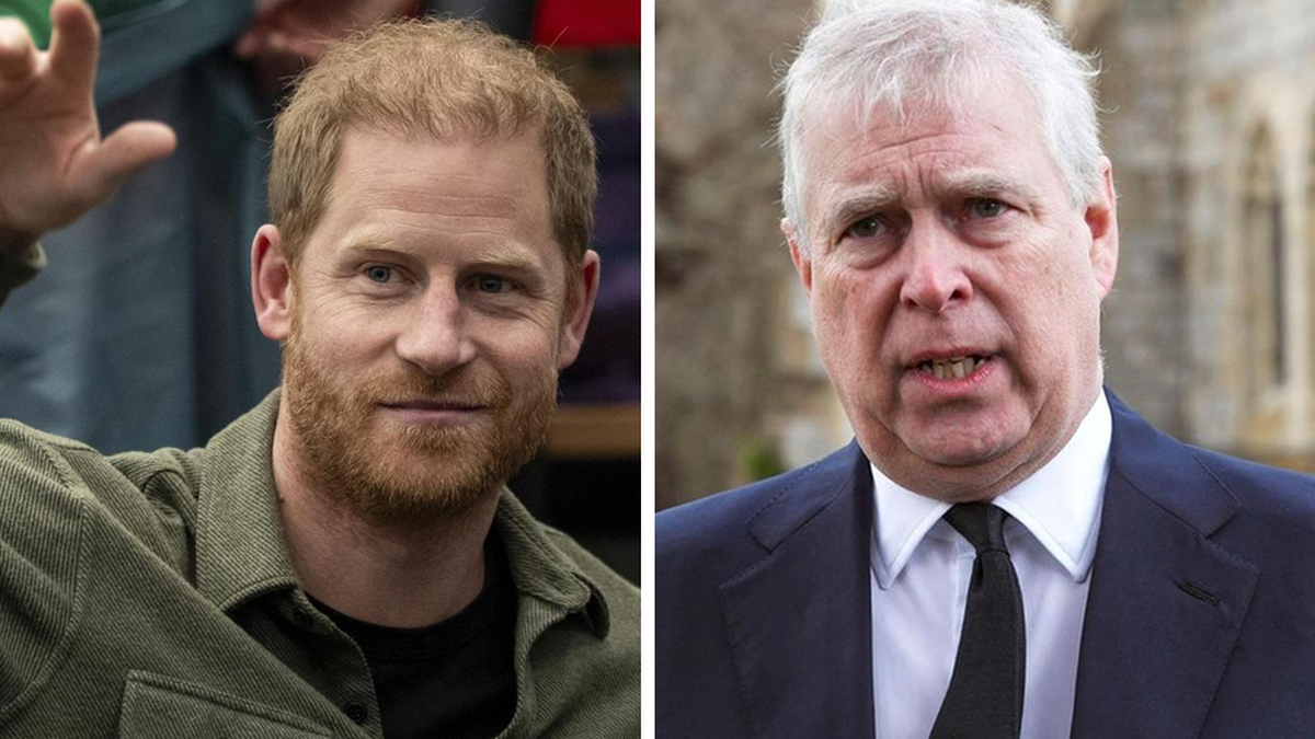 Britse prins Harry ontkent dat hij prins Andrew bloedneus sloeg: "Nooit gevochten"