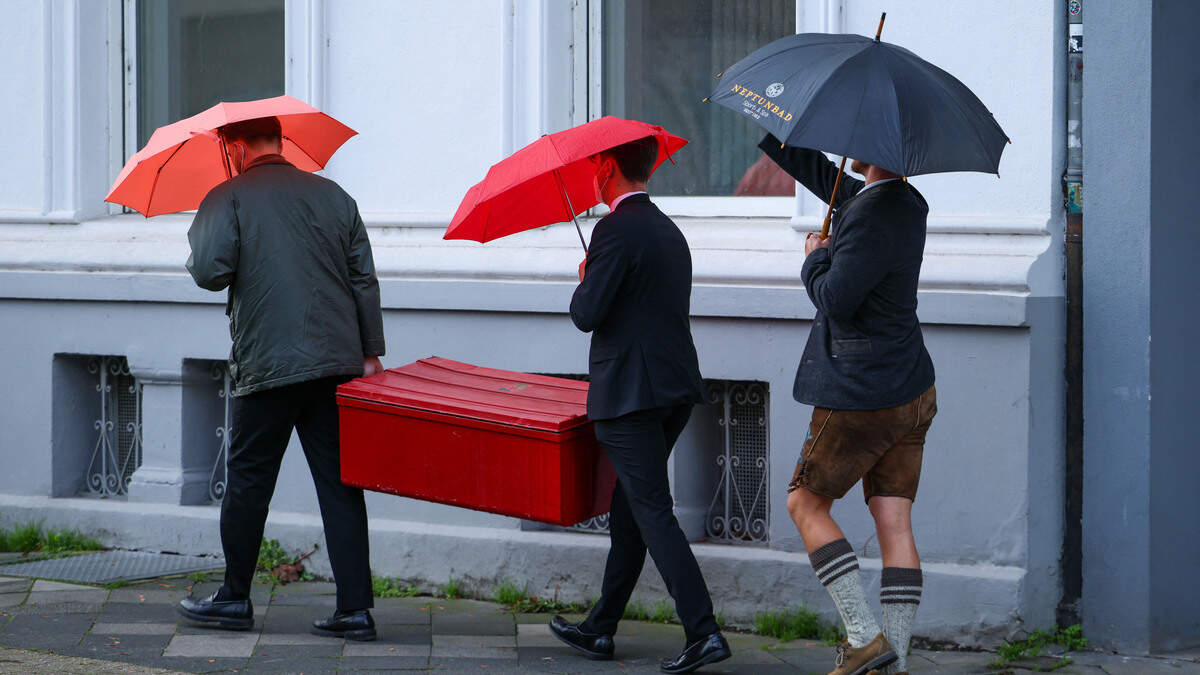 Hackers Claim Access to 400,000 Internal AfD Emails in Cyberattack