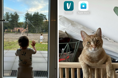 Foto's uit de fotorol van Hakim Chatar