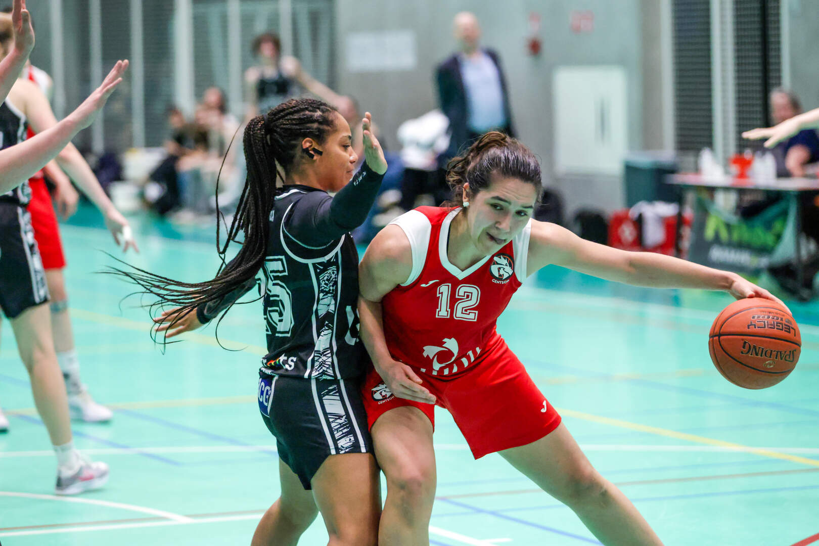 Gentse basketbalderby tussen ABO LDP Donza en Amon Jeugd Gentson: “Een ...
