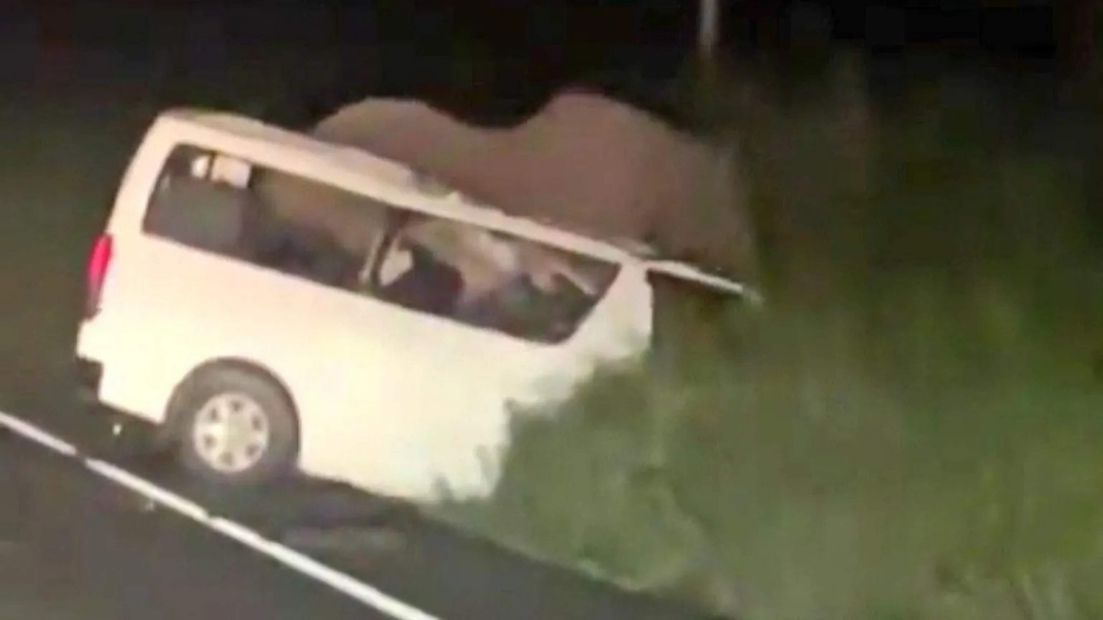 Drie doden nadat busje op olifant botst in Oeganda