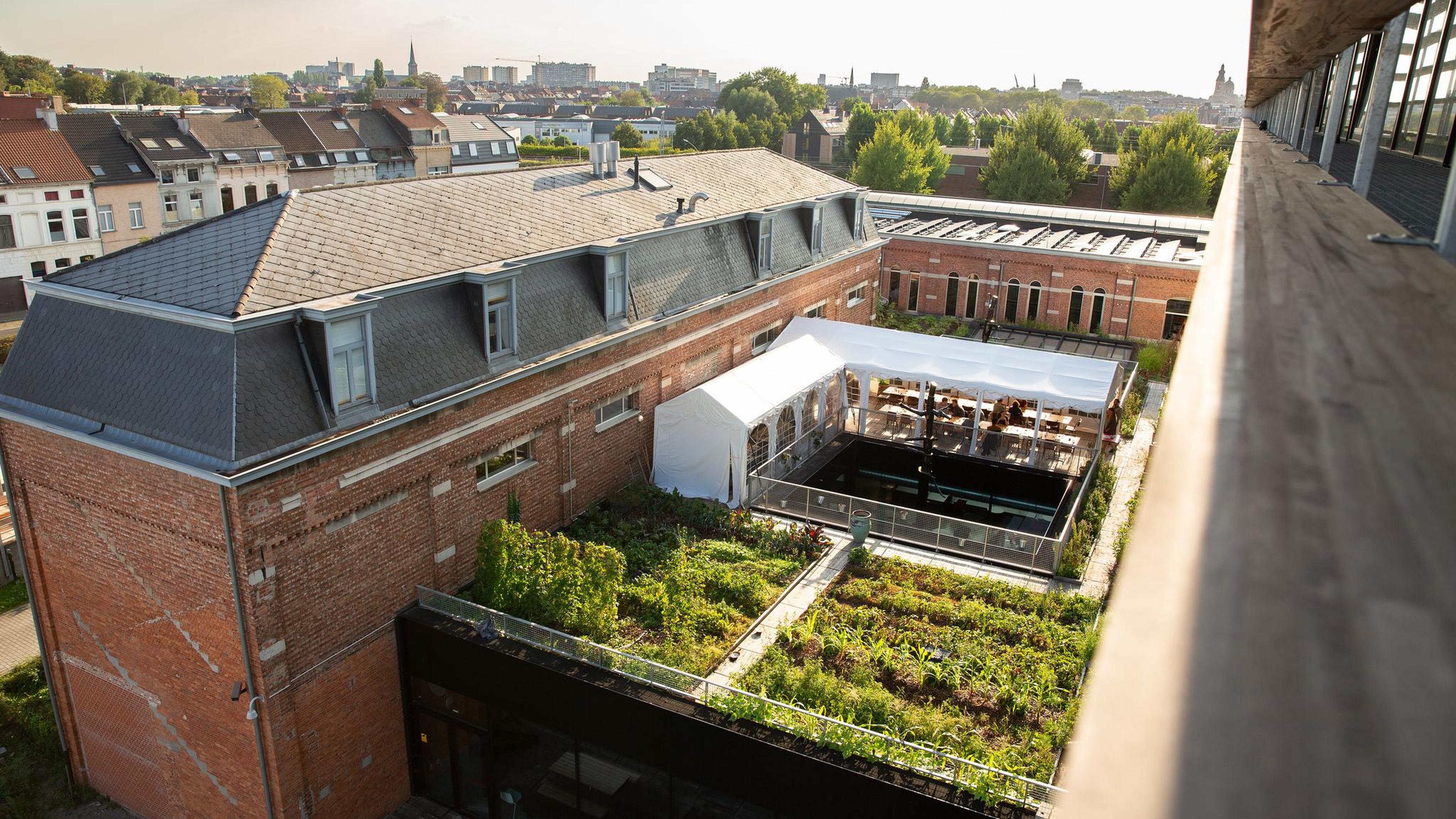 Deze zomer kan je dineren in een gigantische moestuin op een dak: “Er is maar plaats voor twintig pe